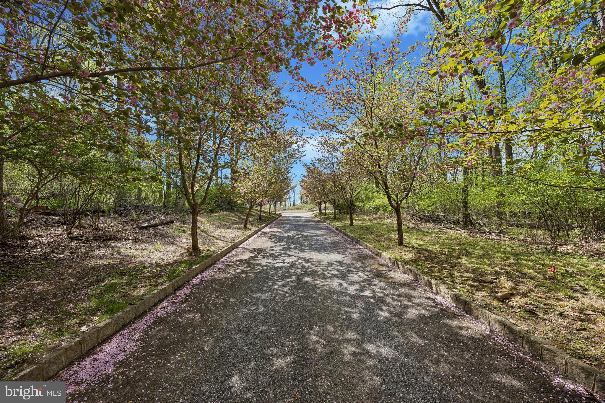 3882 GRADYVILLE ROAD