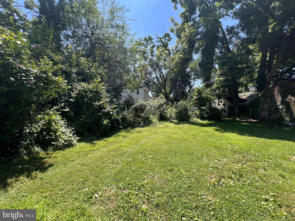 52 W ALBEMARLE AVENUE