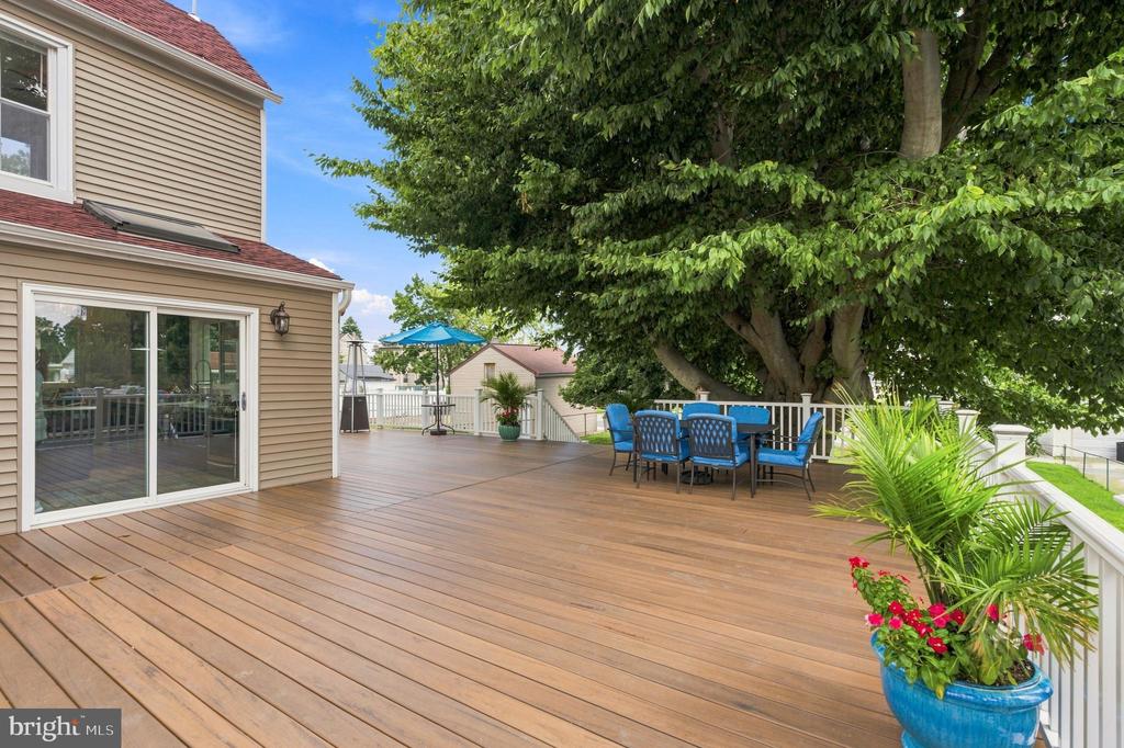 558 MOHAWK AVENUE