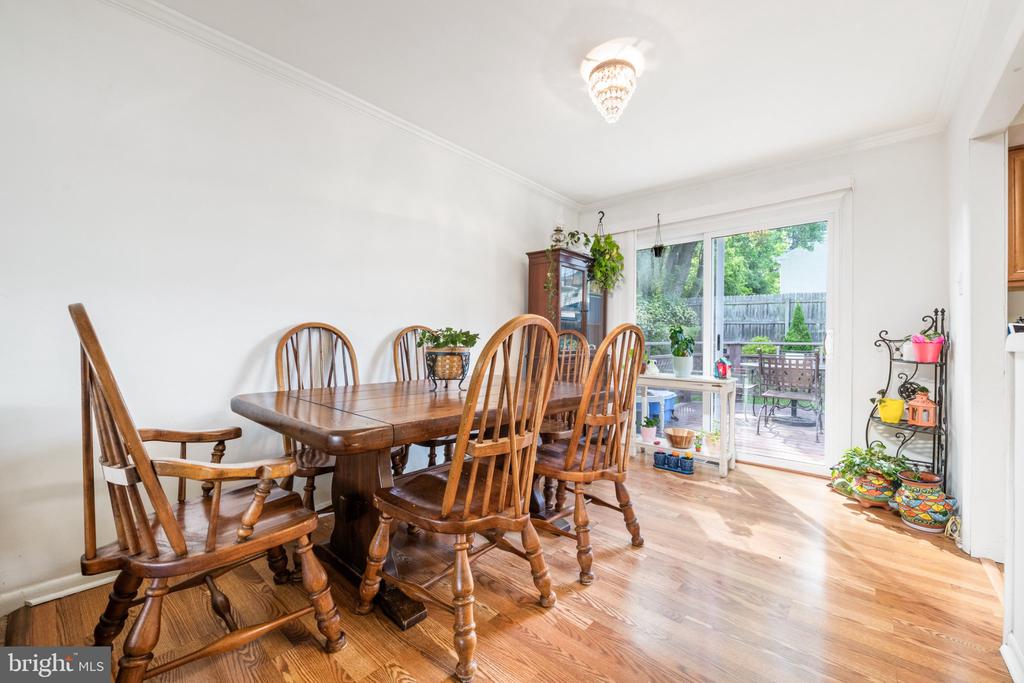 313 WILLIAMS ROAD