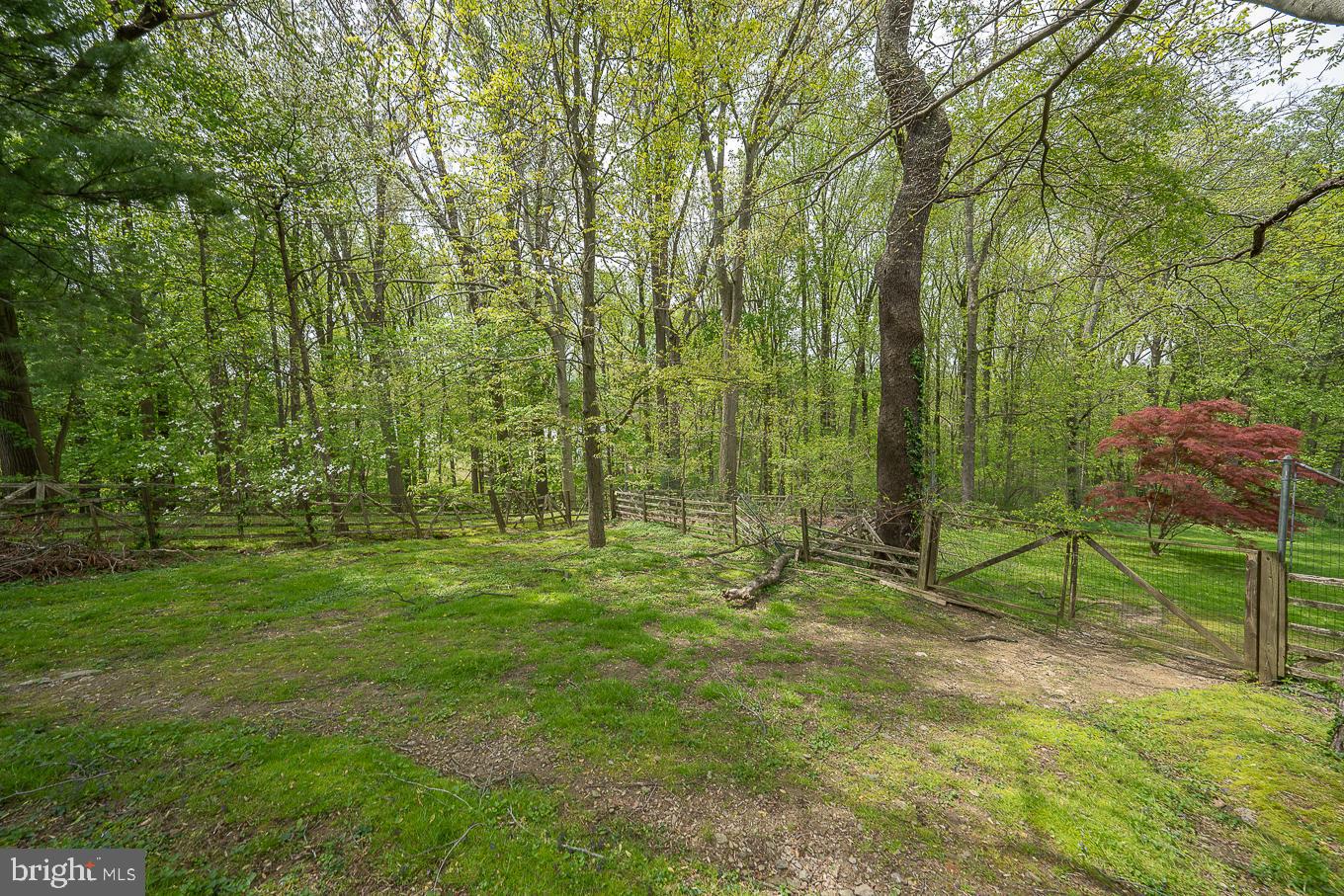 1200 Limberlost Ln