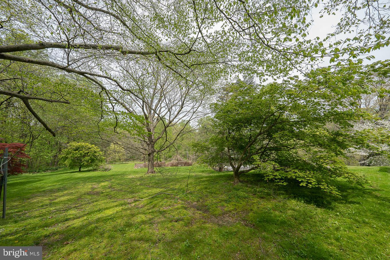 1200 Limberlost Ln