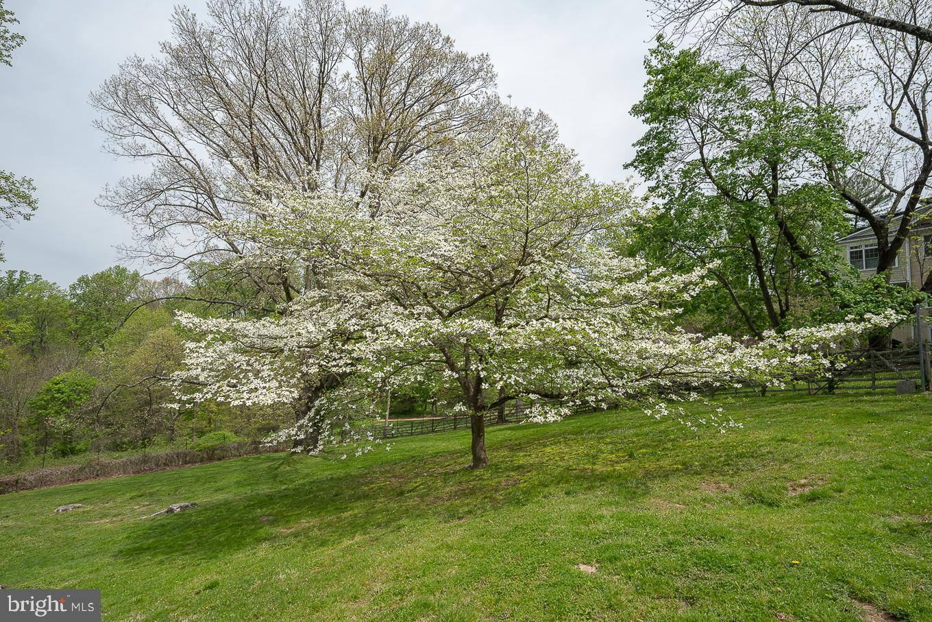 1200 Limberlost Ln