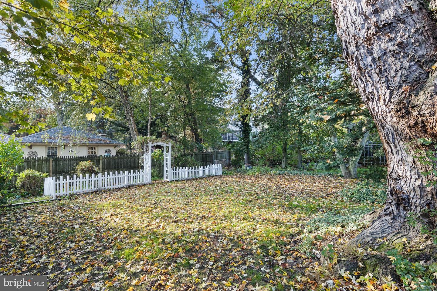 450 Conshohocken State Rd