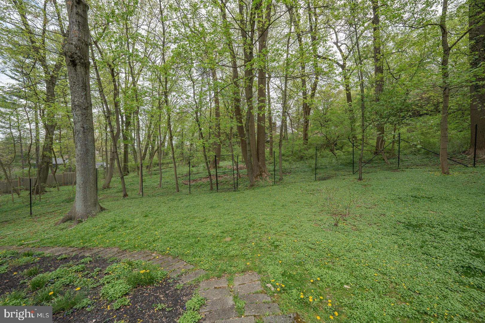 870 Andorra Rd