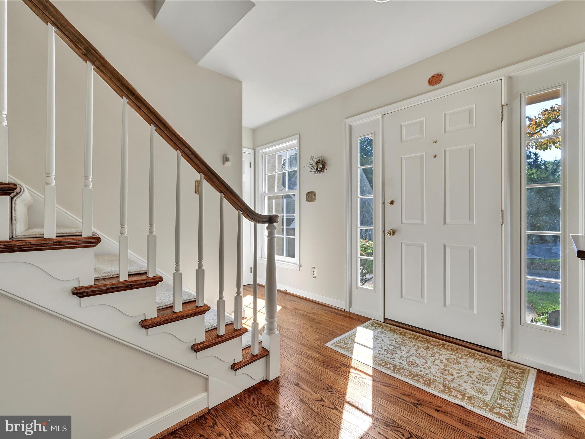 113 Foxhall Ln