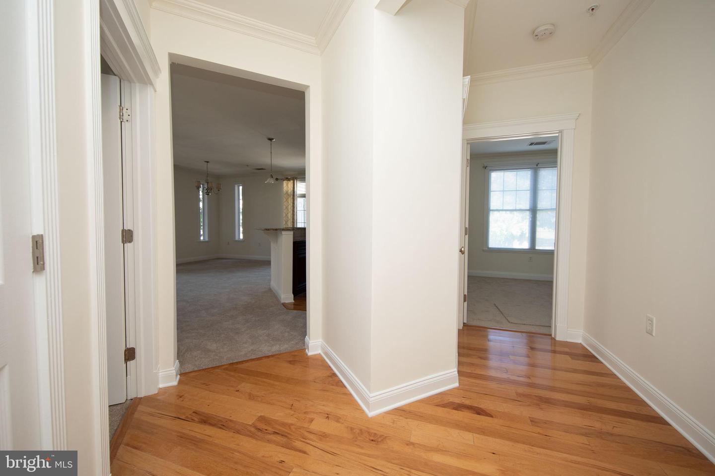 200 W Elm St #1203