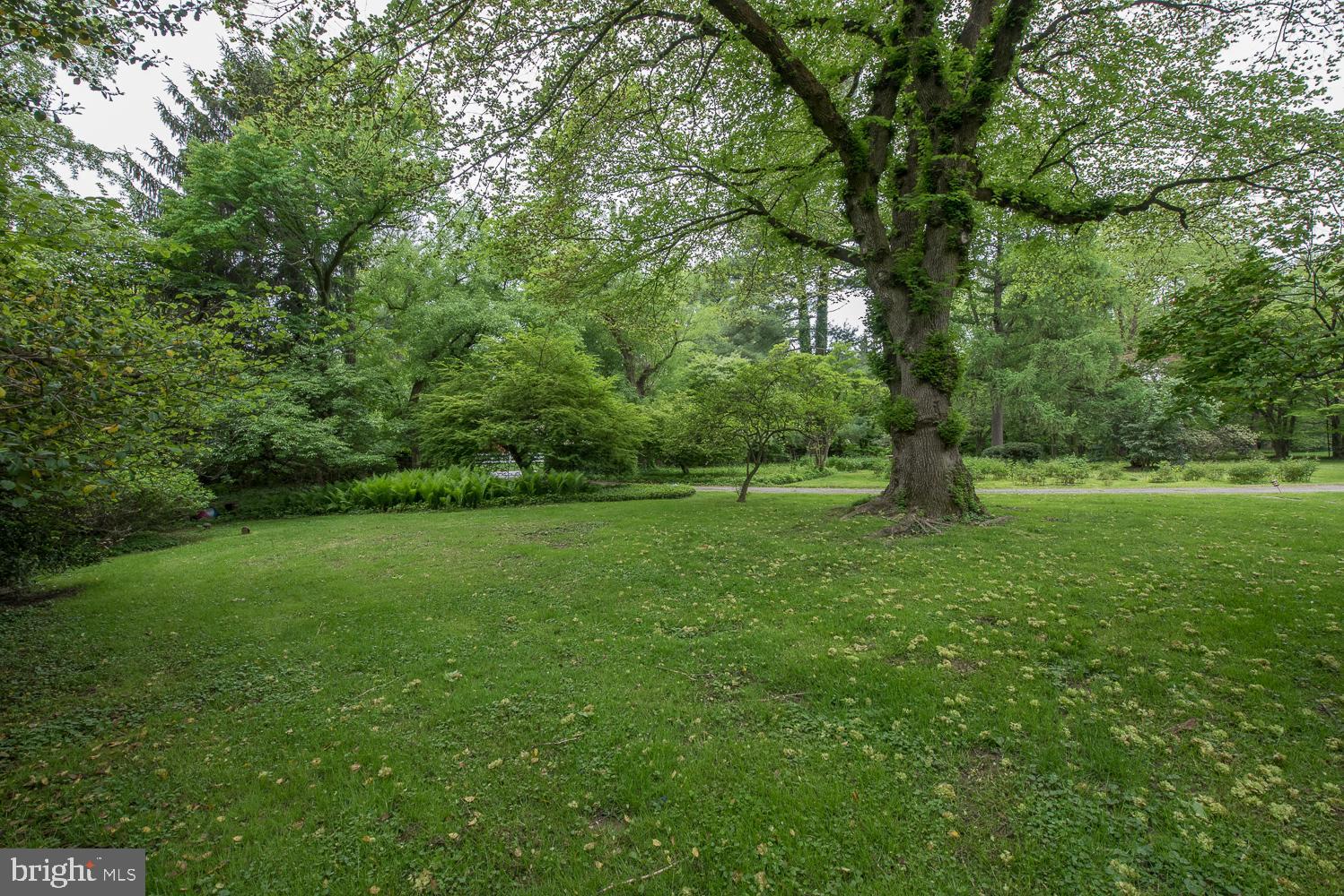 317 Conshohocken State Rd