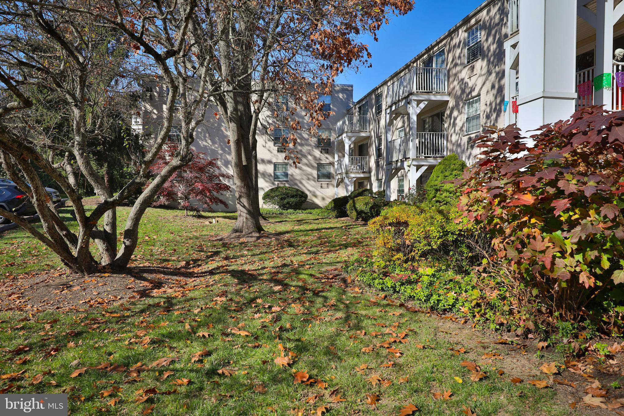250 Ridge Pike #346b