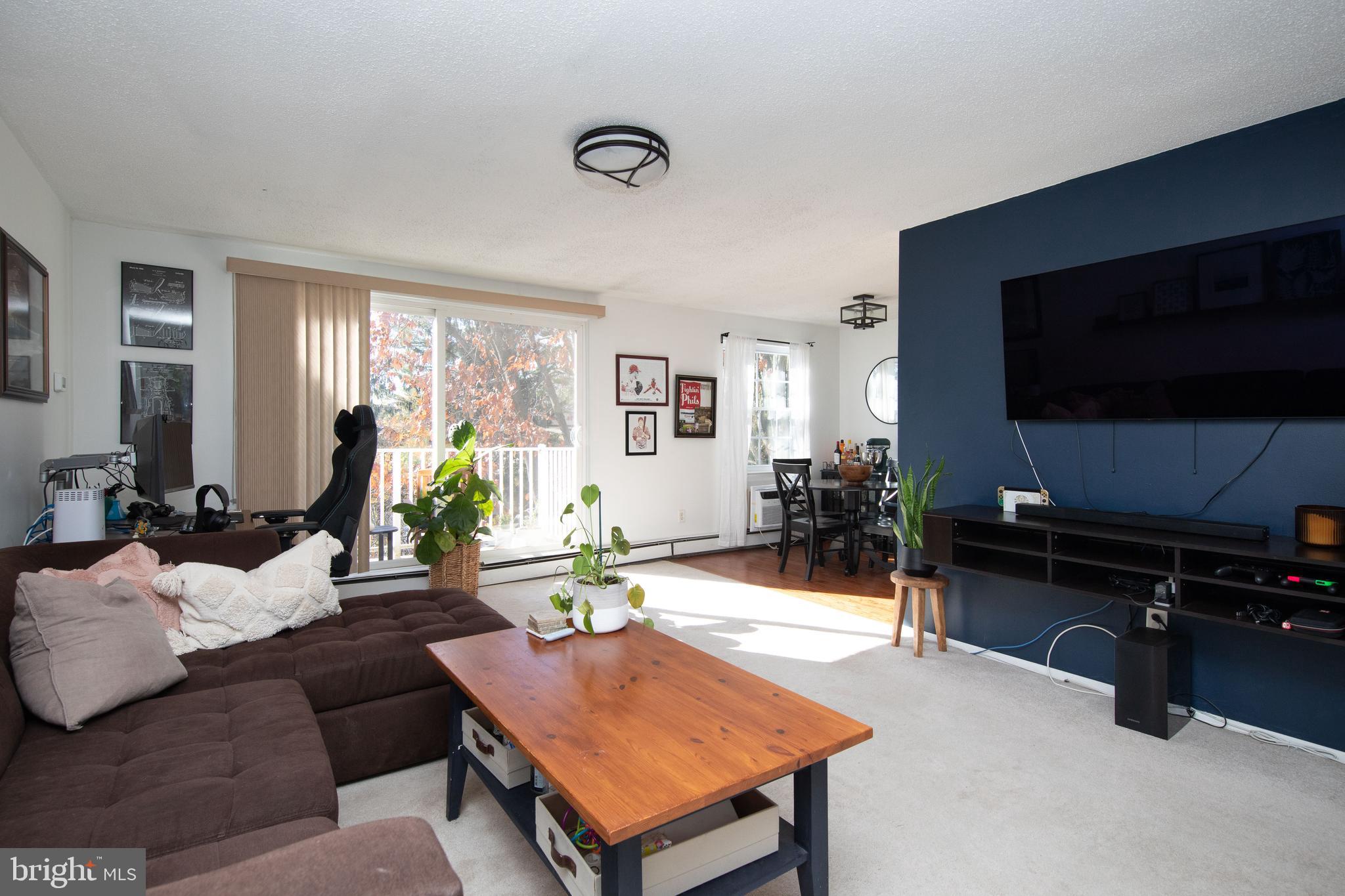 250 Ridge Pike #346b