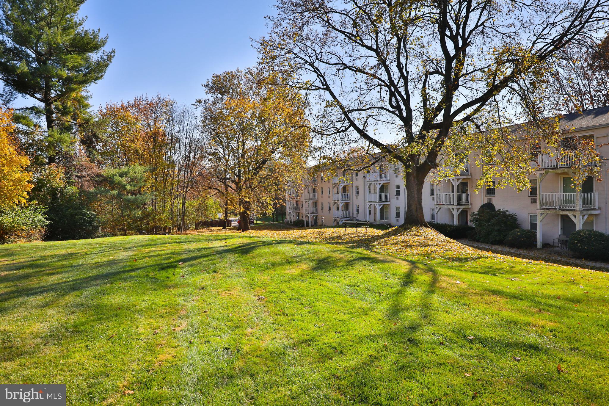 250 Ridge Pike #346b