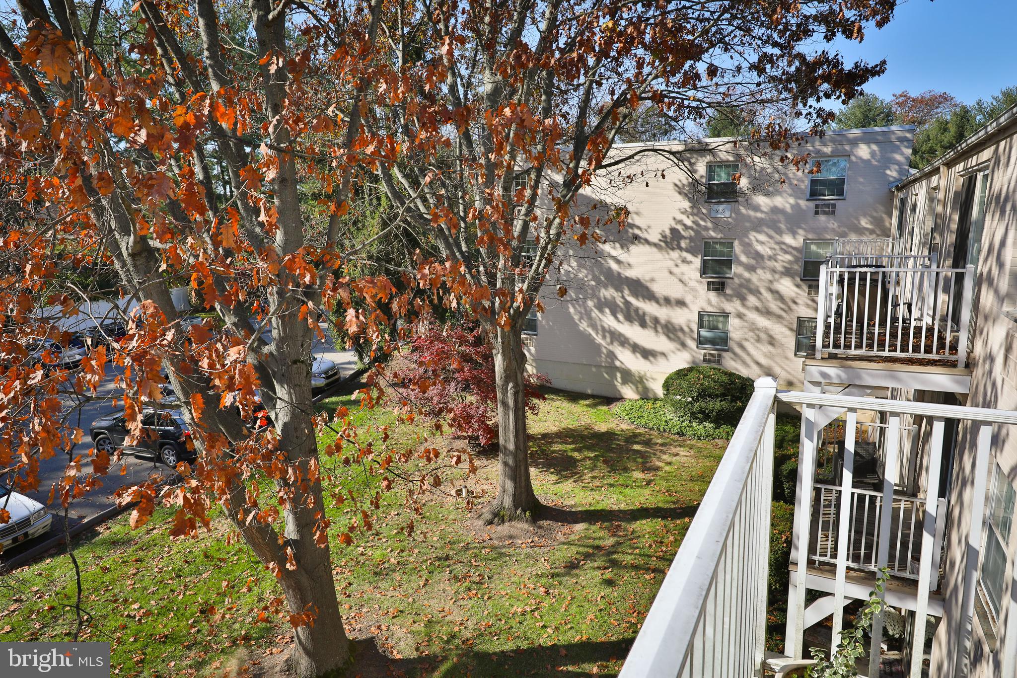 250 Ridge Pike #346b