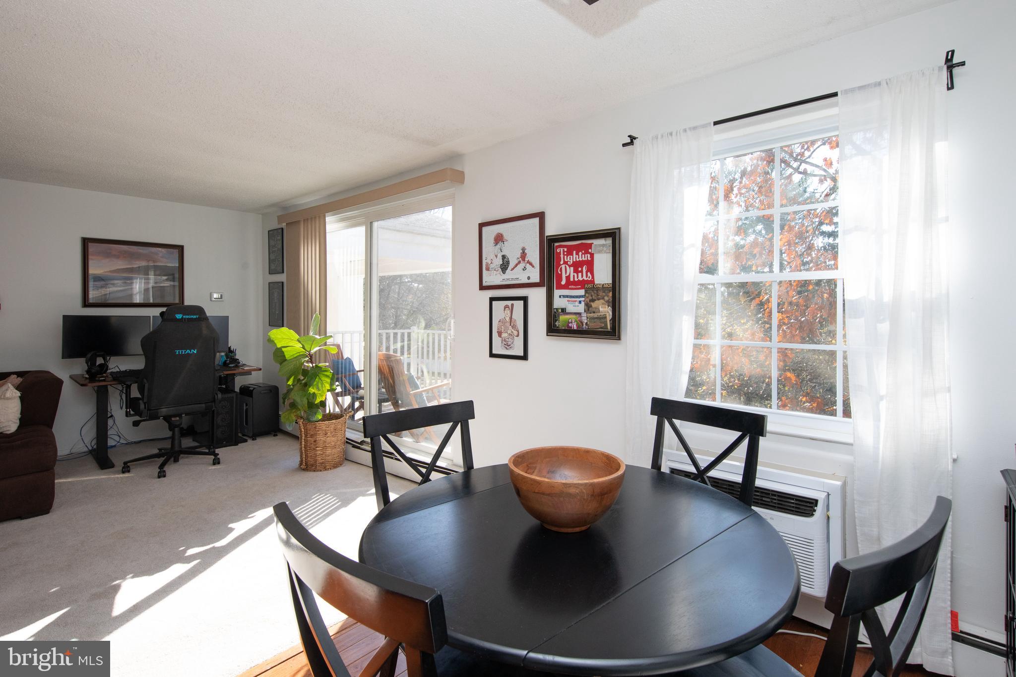 250 Ridge Pike #346b