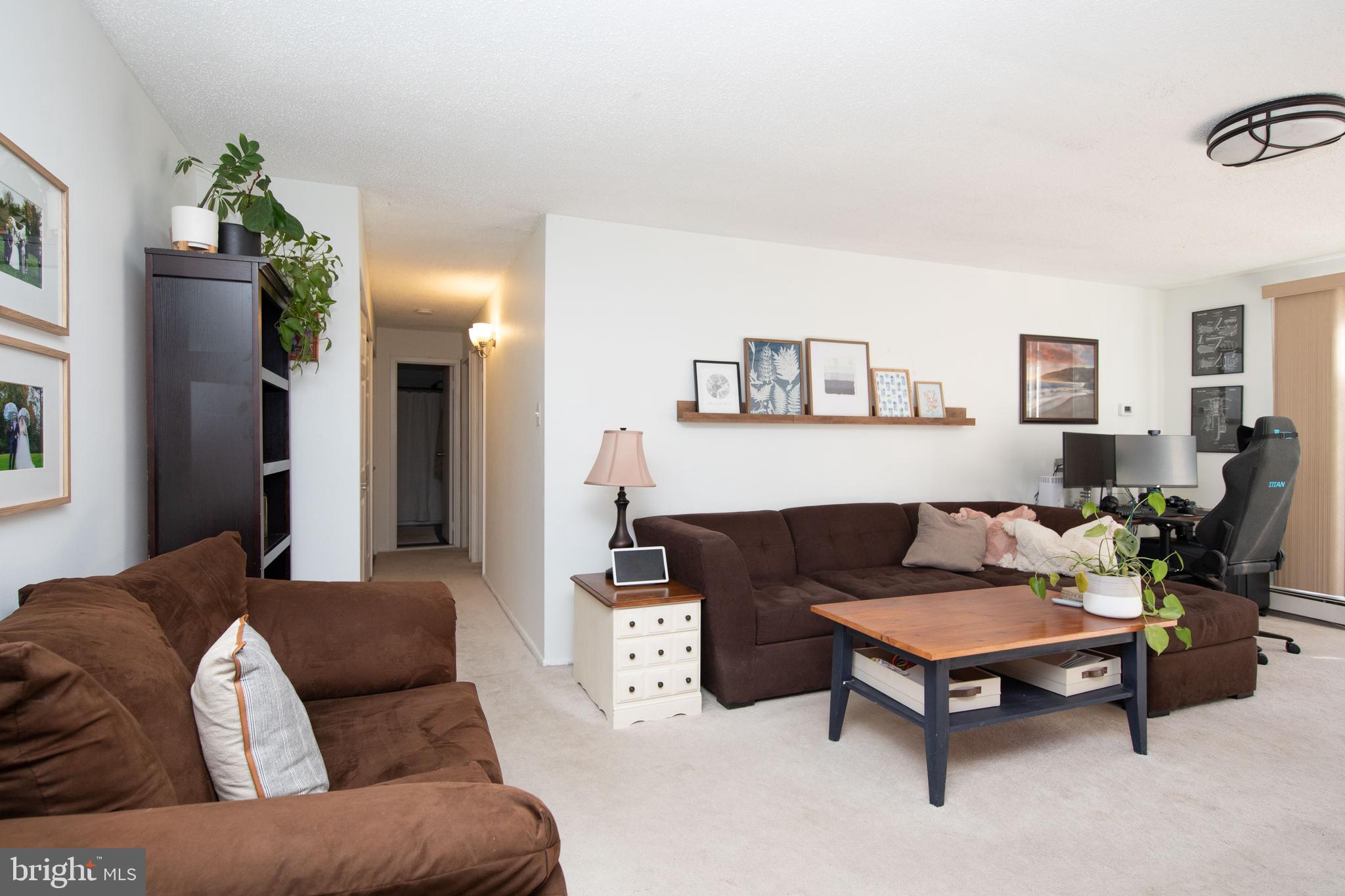 250 Ridge Pike #346b