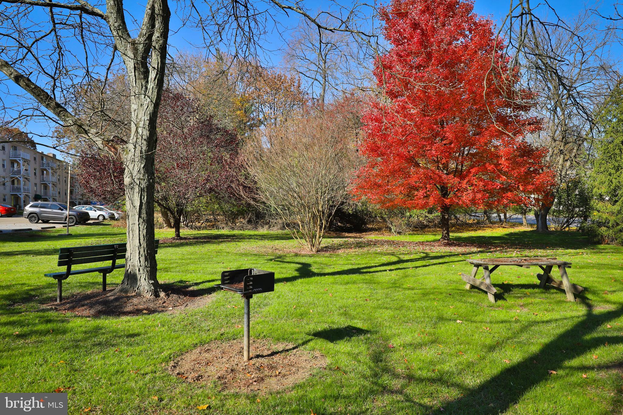 250 Ridge Pike #346b