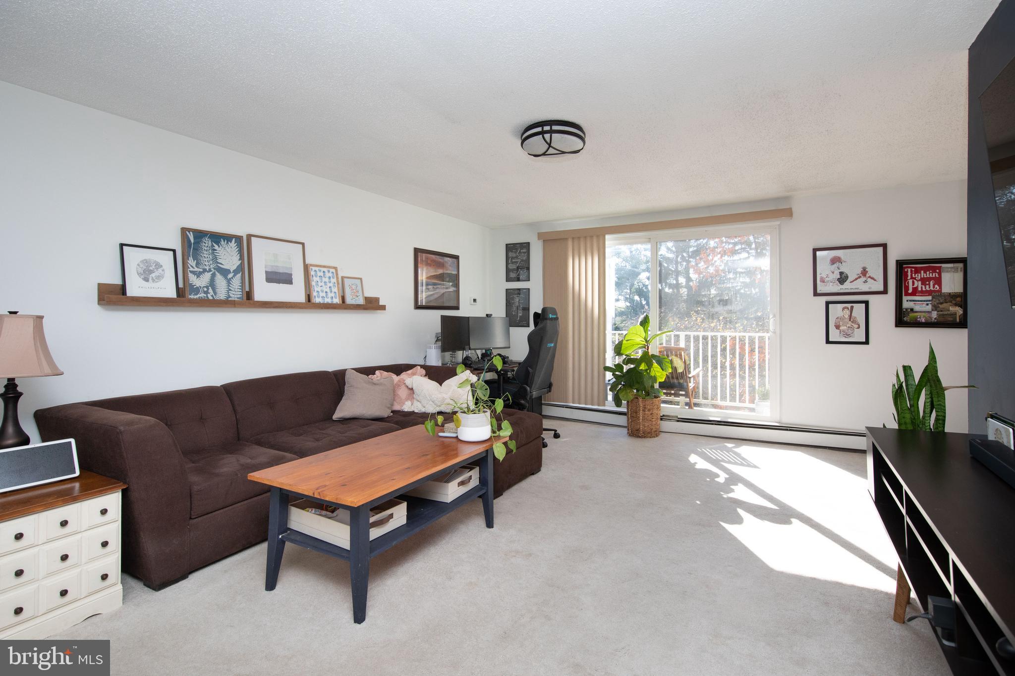 250 Ridge Pike #346b