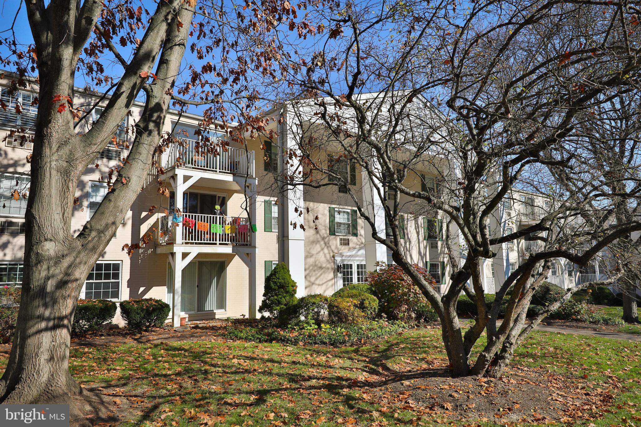 250 Ridge Pike #346b