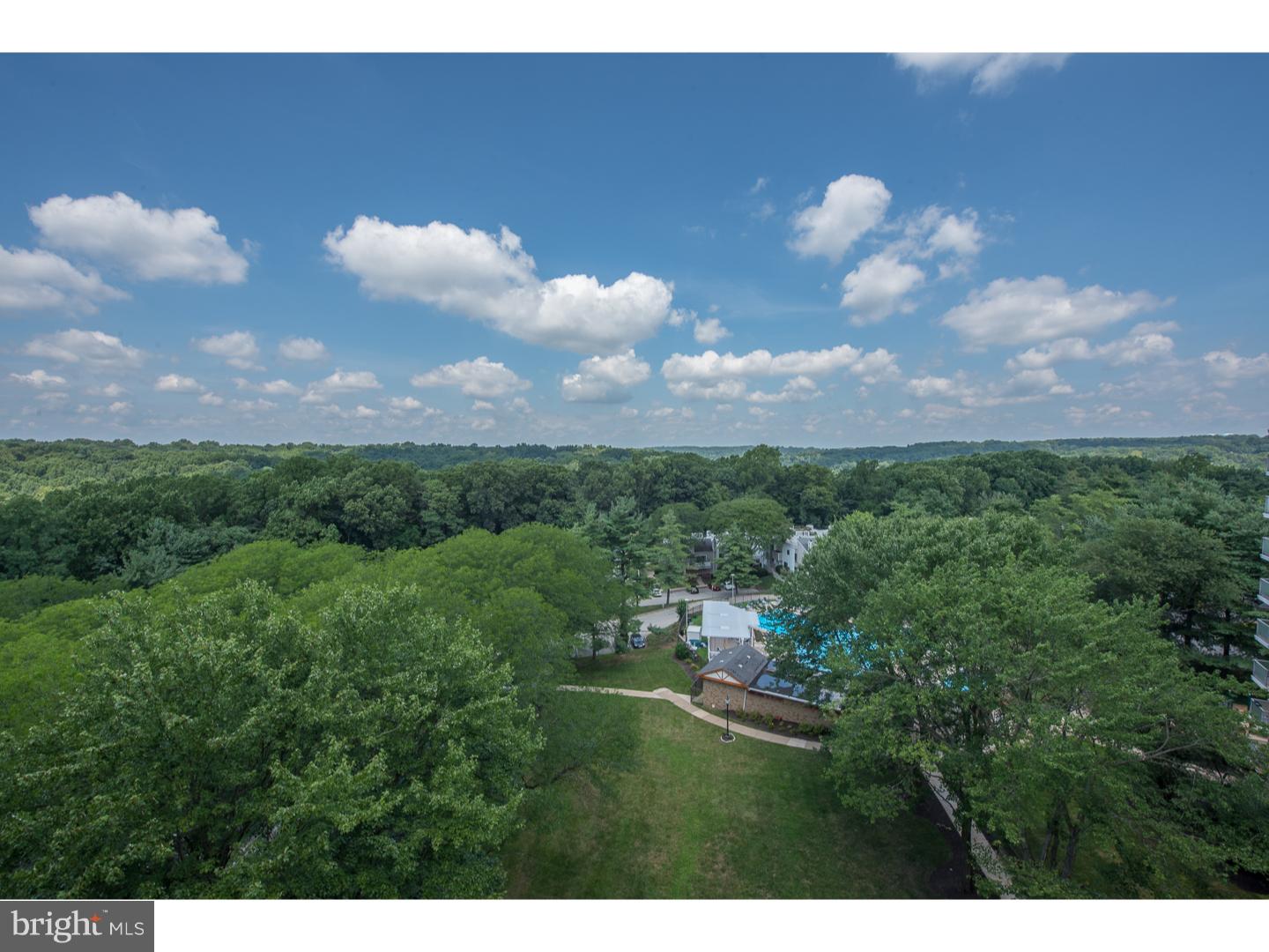 1600 HAGYS FORD RD #10F