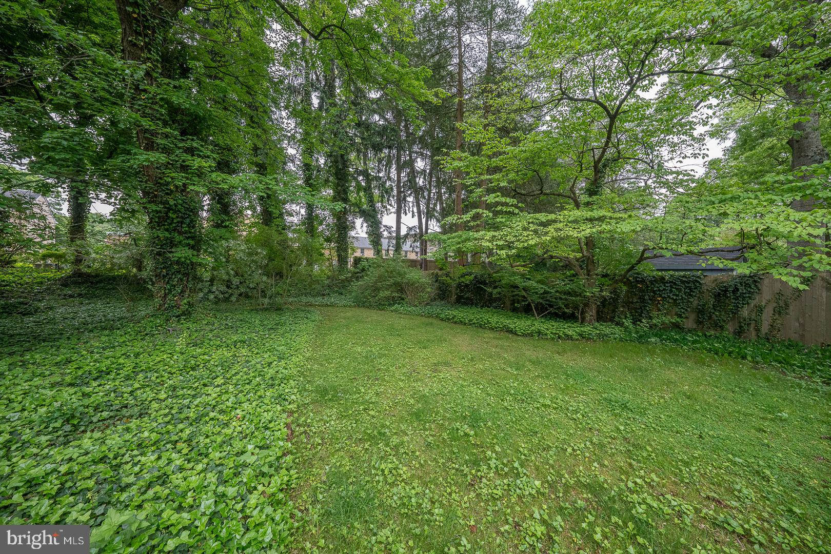 8315 Tulpehocken Ave
