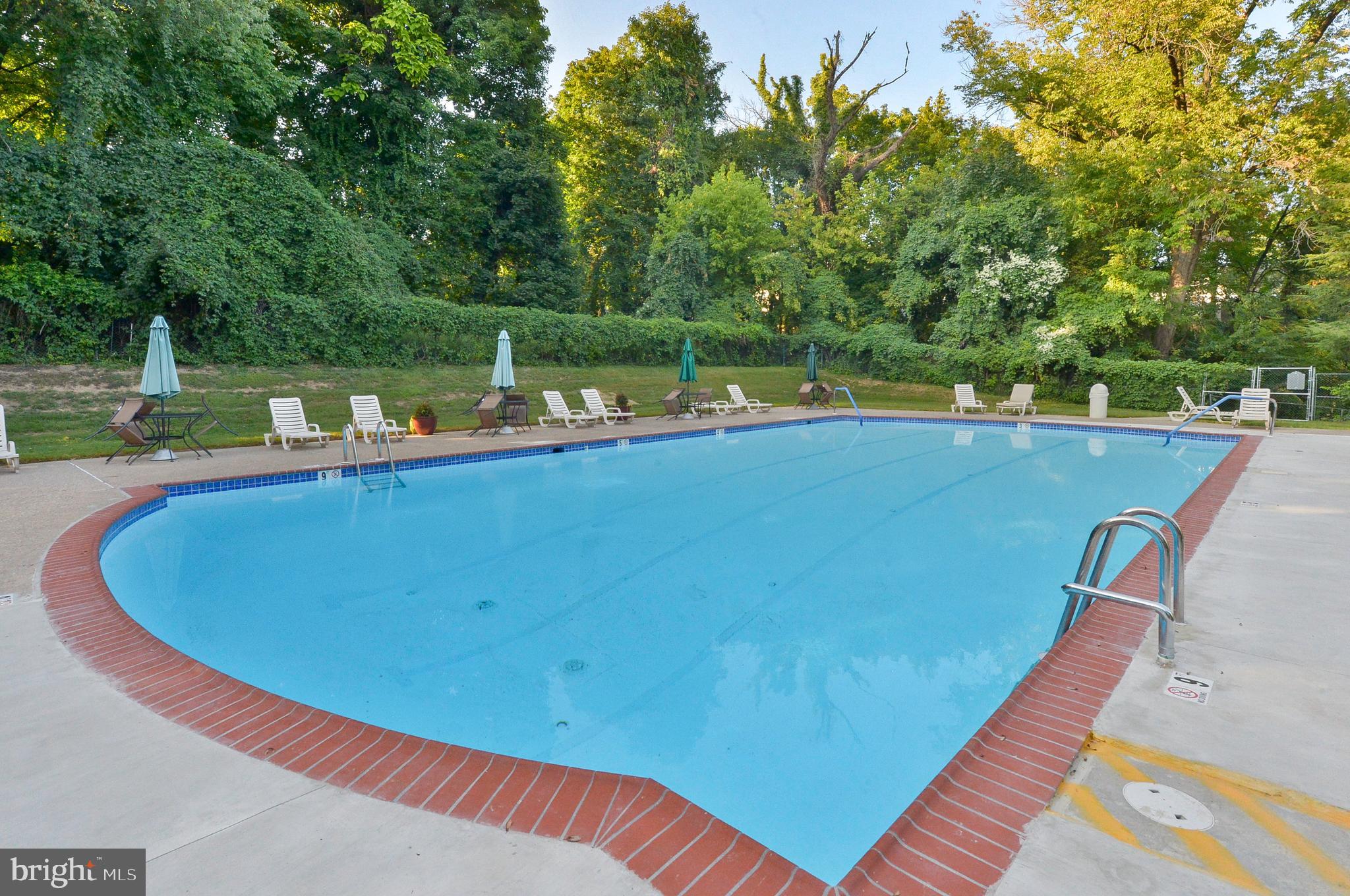 7900 Old York Rd #813a