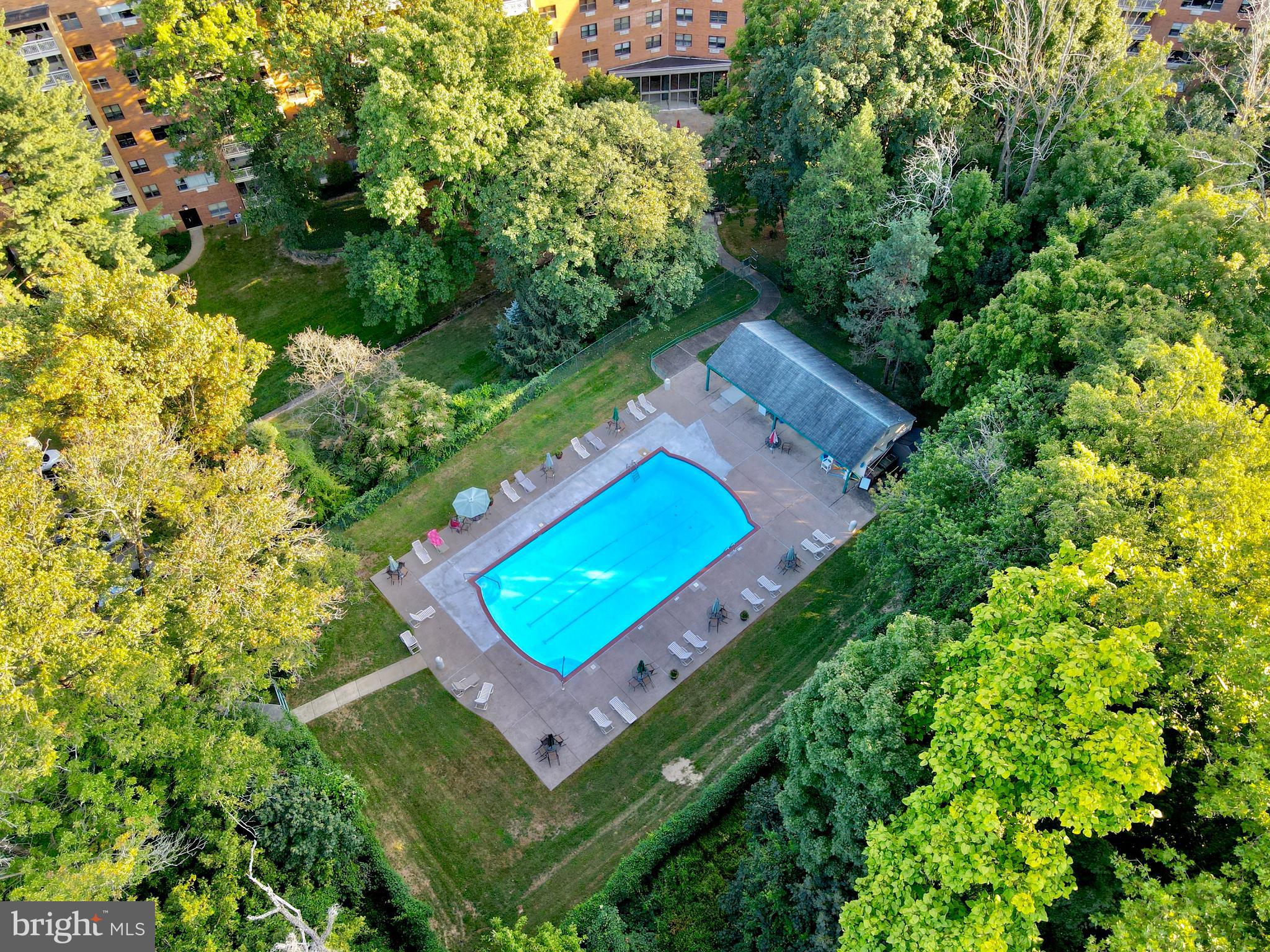 7900 Old York Rd #813a