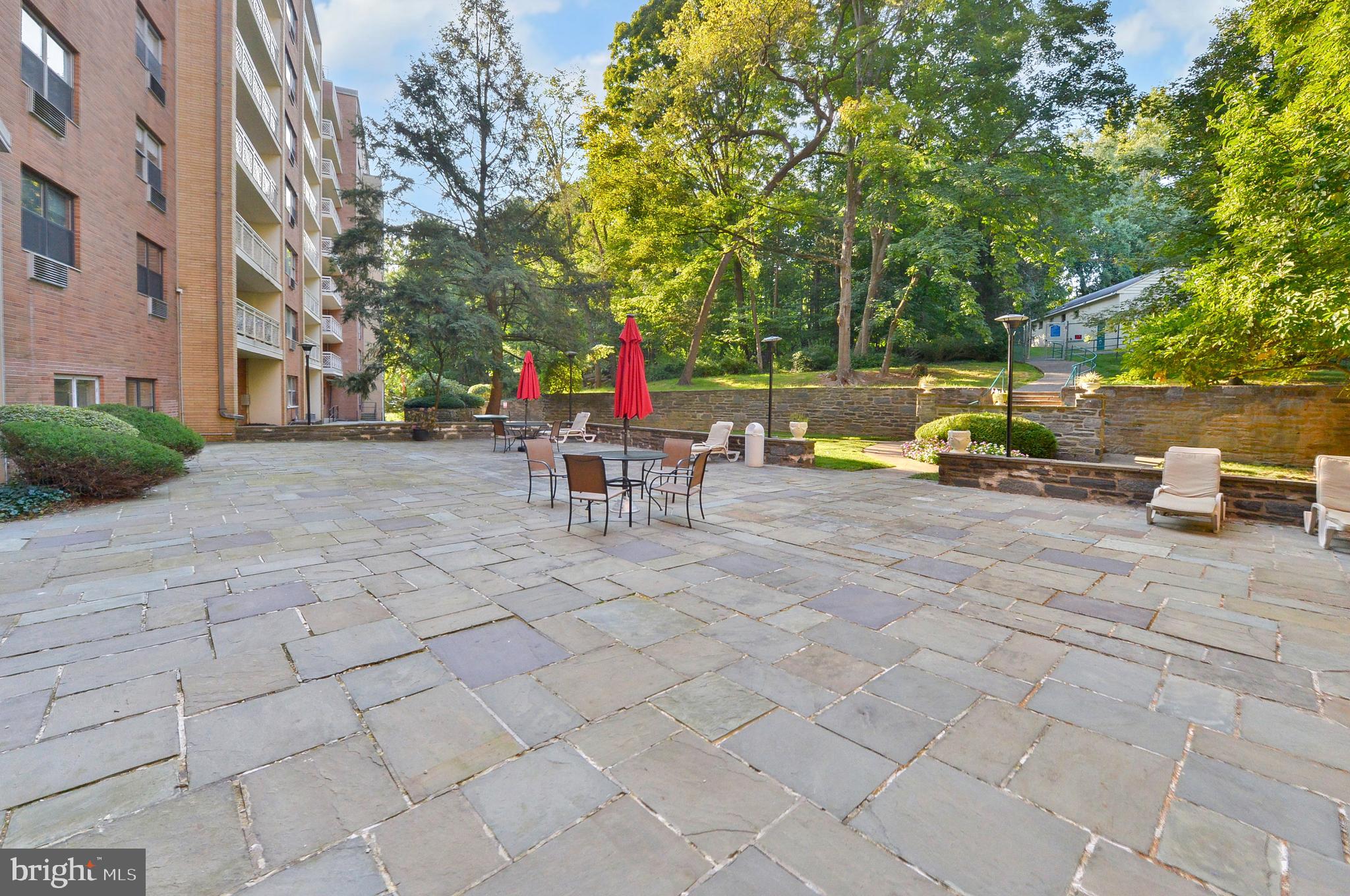 7900 Old York Rd #813a