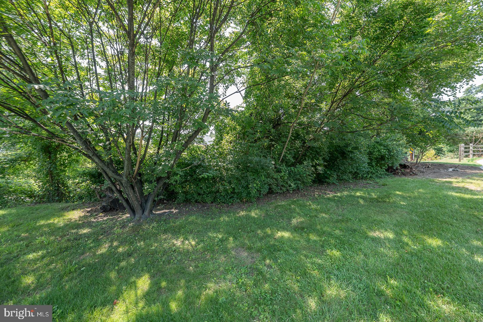 556 SHOEMAKER RD