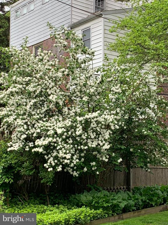 57 Levering Cir