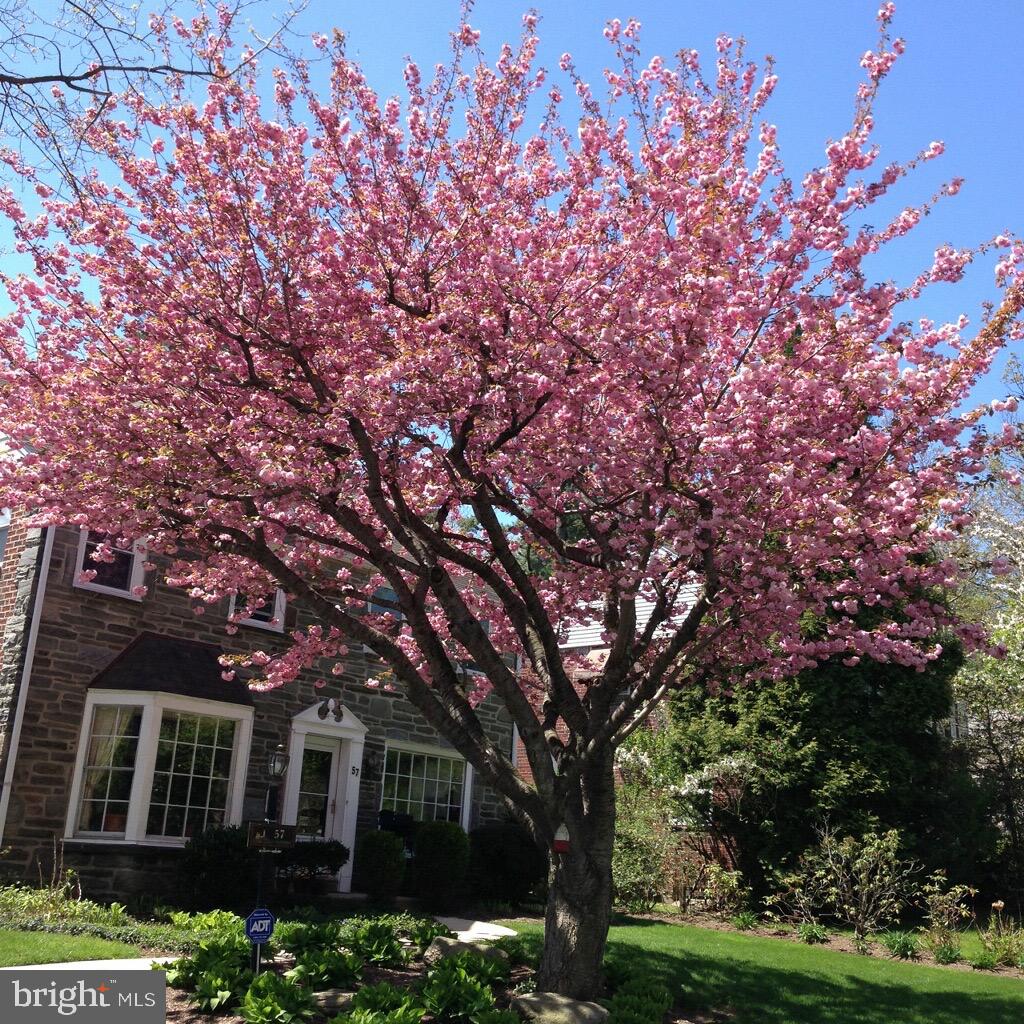 57 Levering Cir