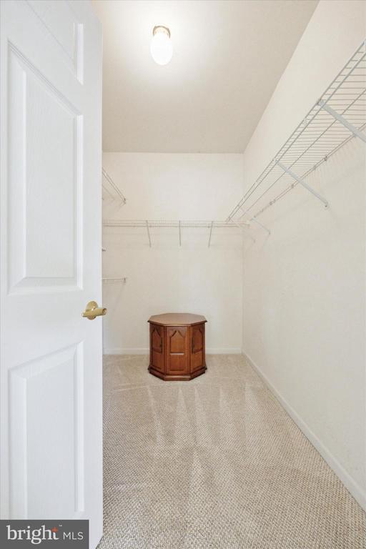 1124 Ellen Ct