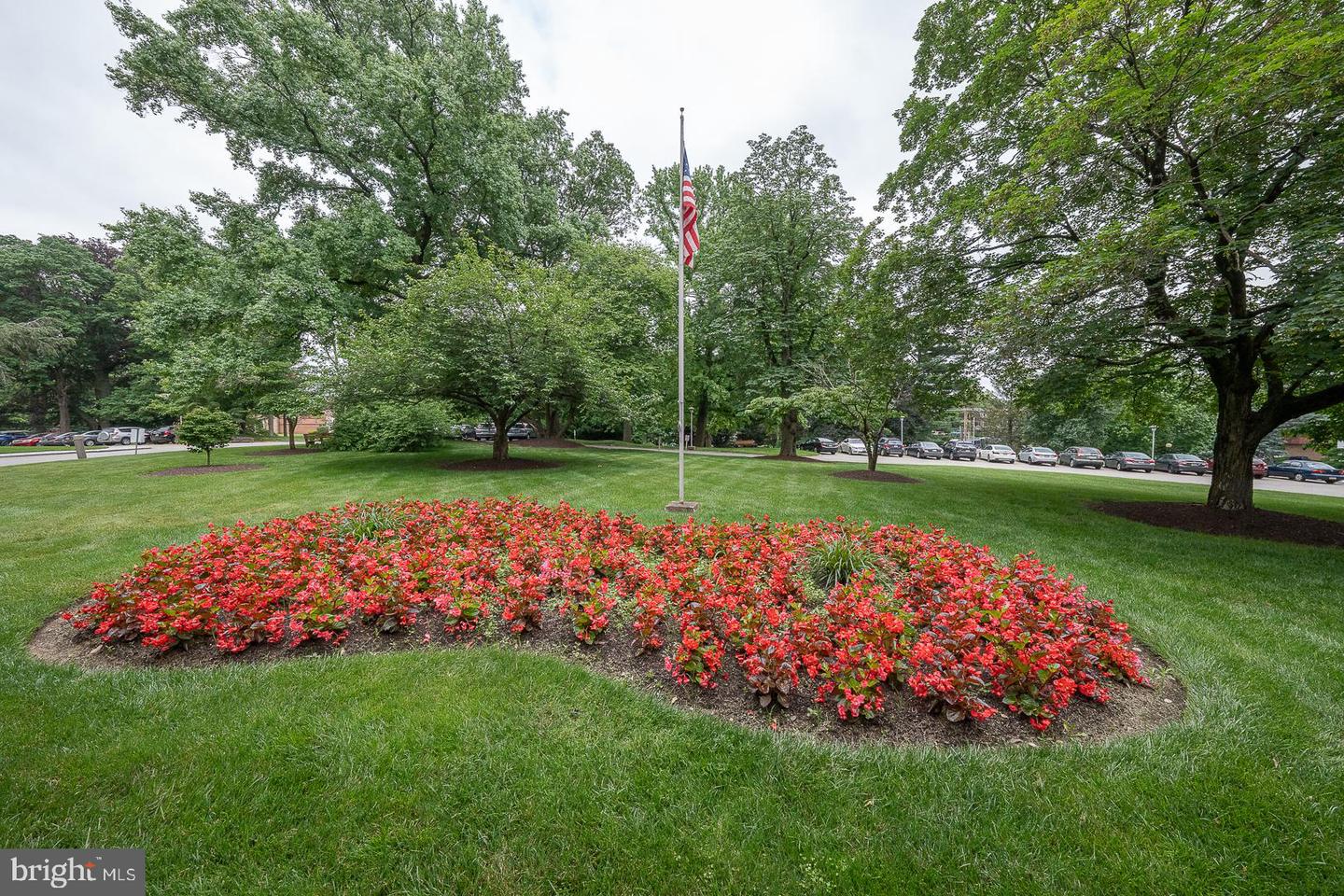 7900 Old York Rd #704-B
