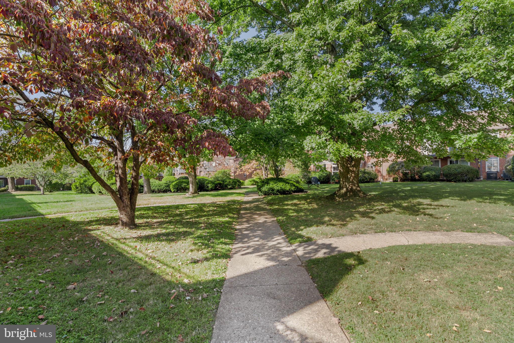 922 MONTGOMERY AVENUE C-2