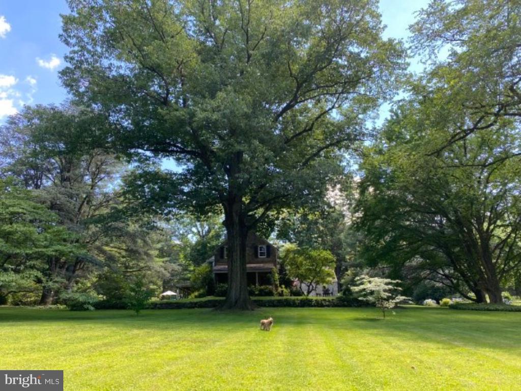 435 GARDEN LANE