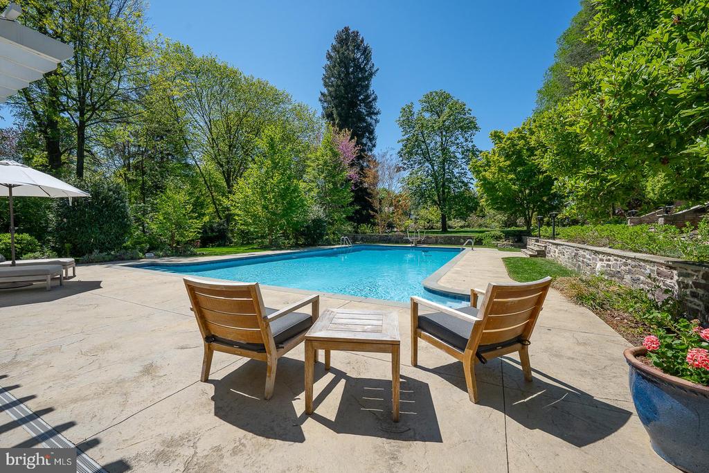 411 WISTER ROAD