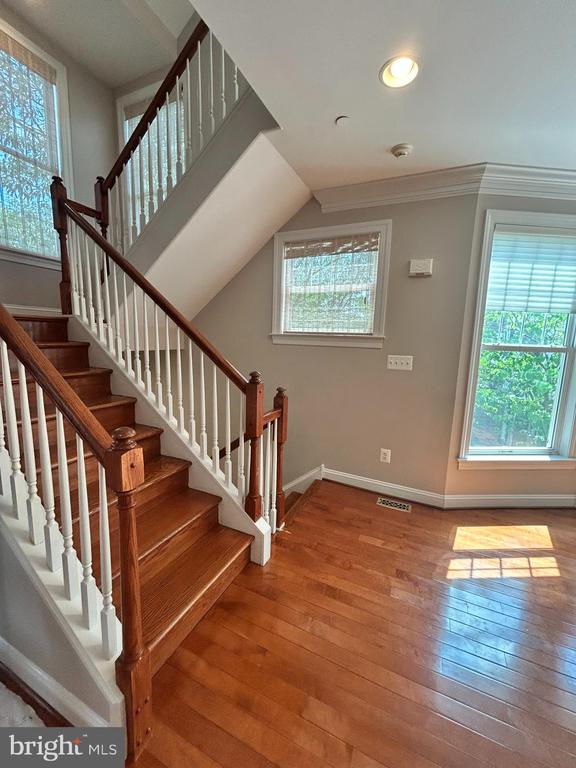 202 COBBLESTONE DRIVE