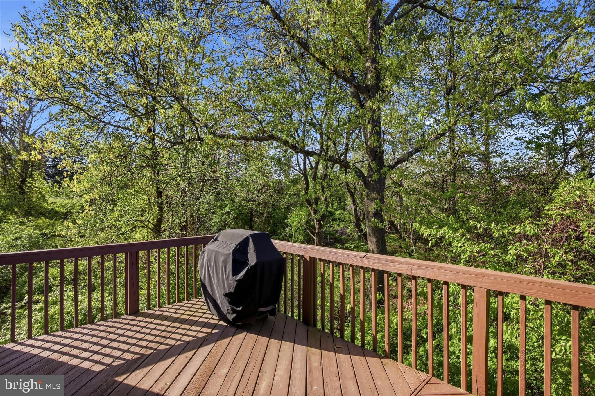 325 GREEN VIEW COURT