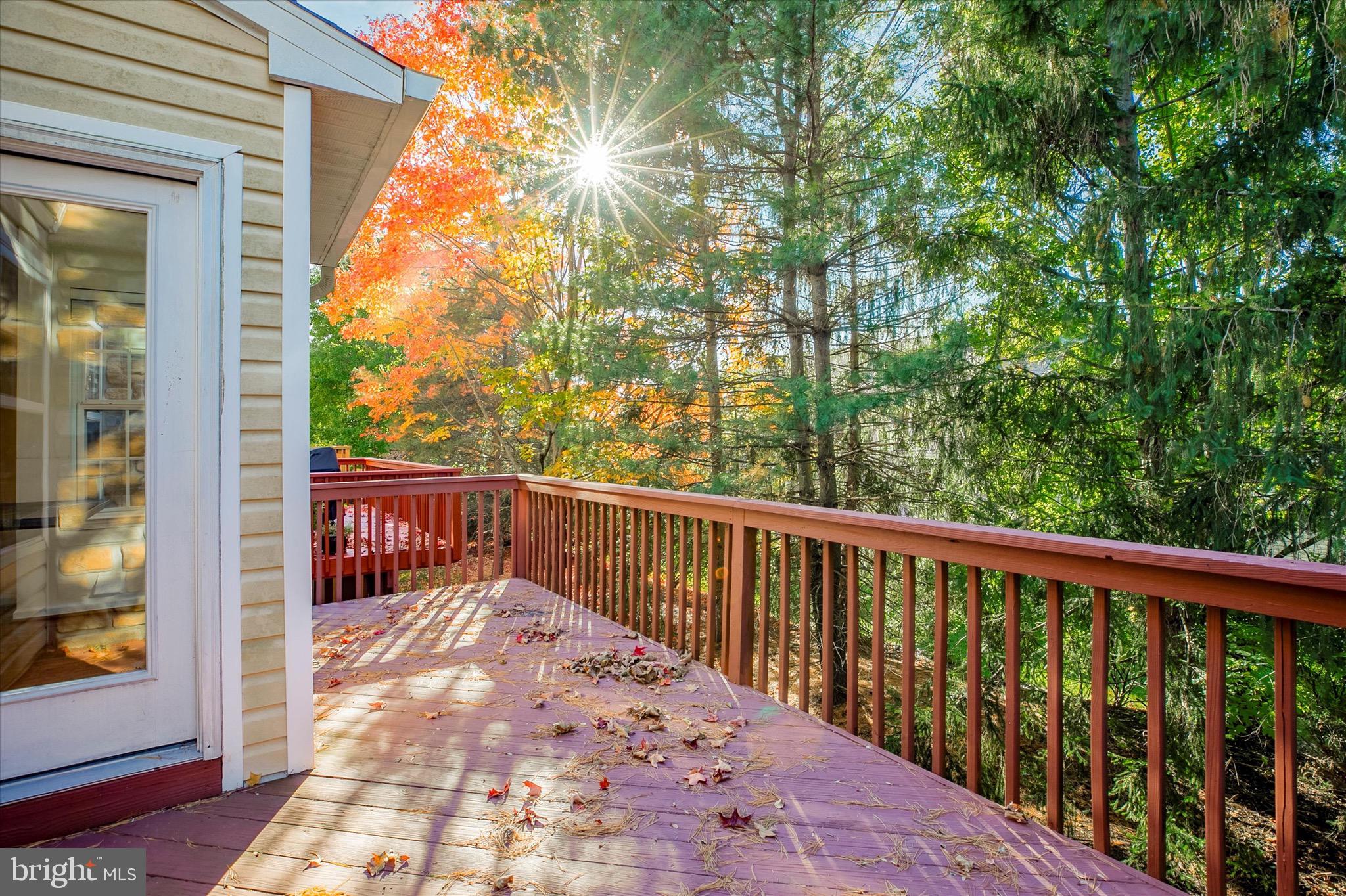 116 GLENEAGLES DRIVE