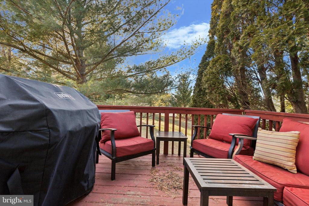 220 PRIMROSE LANE