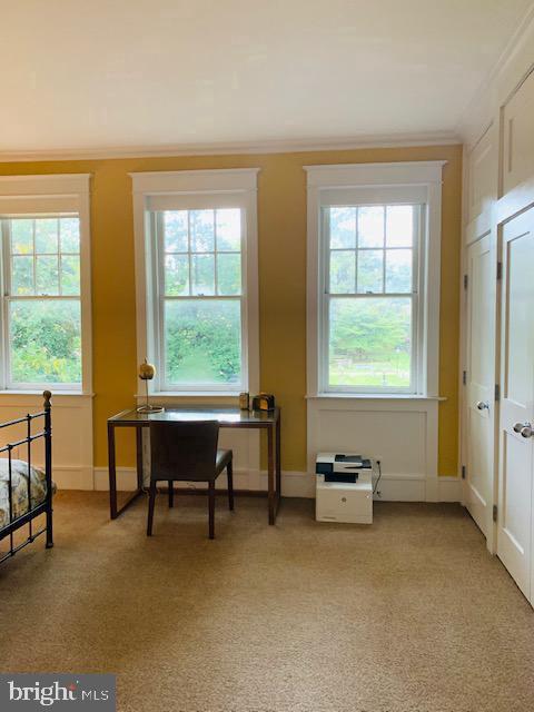 323 Pine St #1f