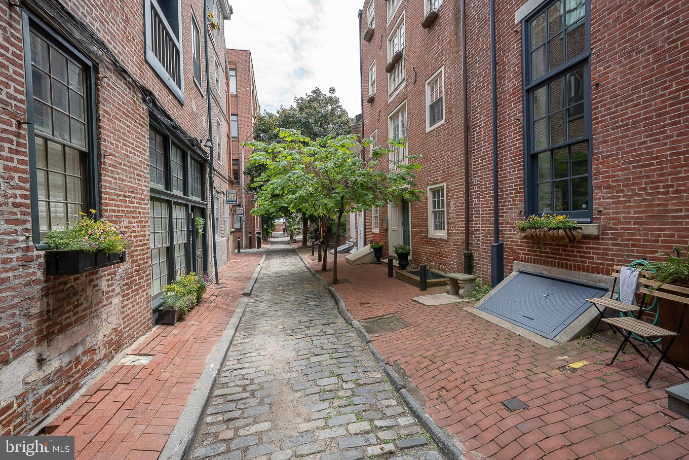 126 Cuthbert St #3