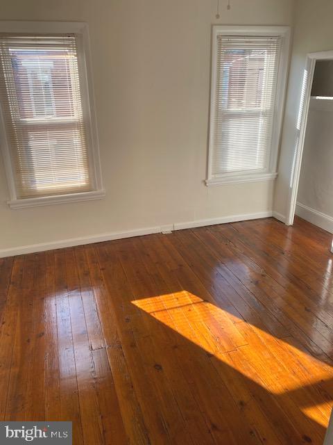 365 Tree St