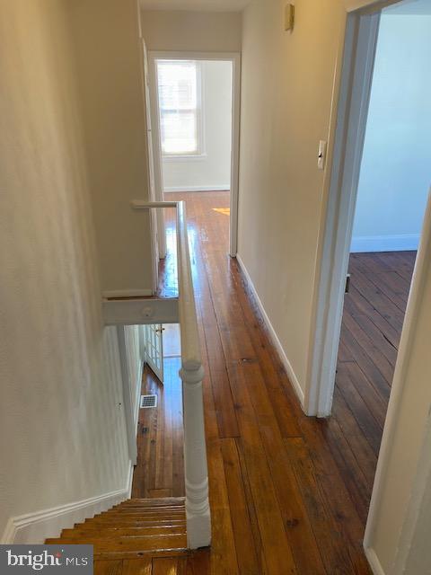 365 Tree St
