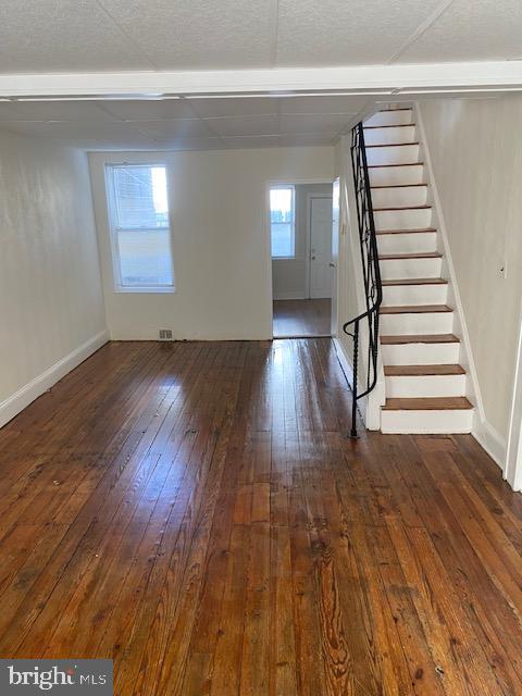 365 Tree St