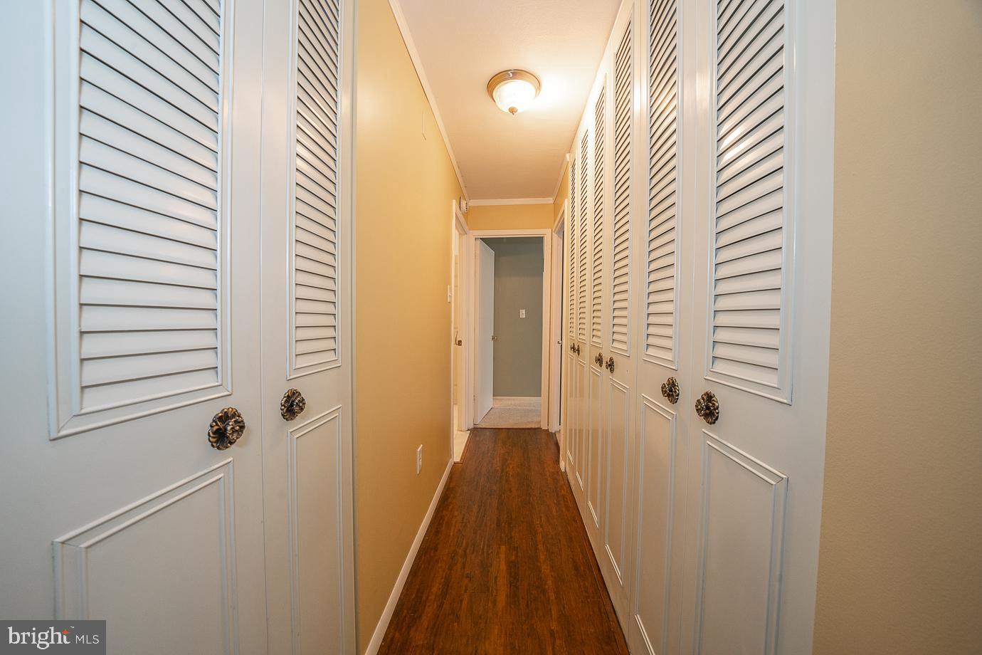 1919 Chestnut St #517