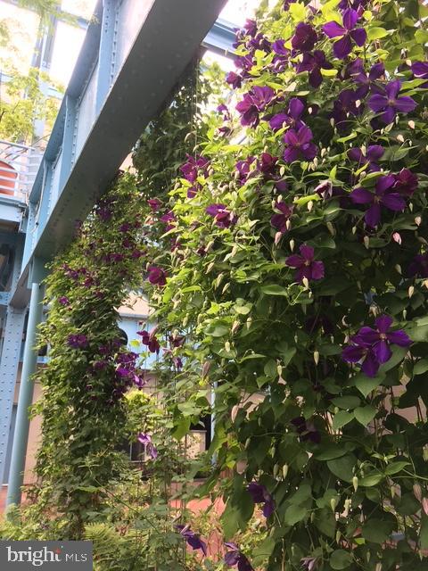 7 N Chris Columbus Blvd #233