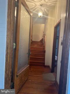 6243 HAVERFORD AVE #1