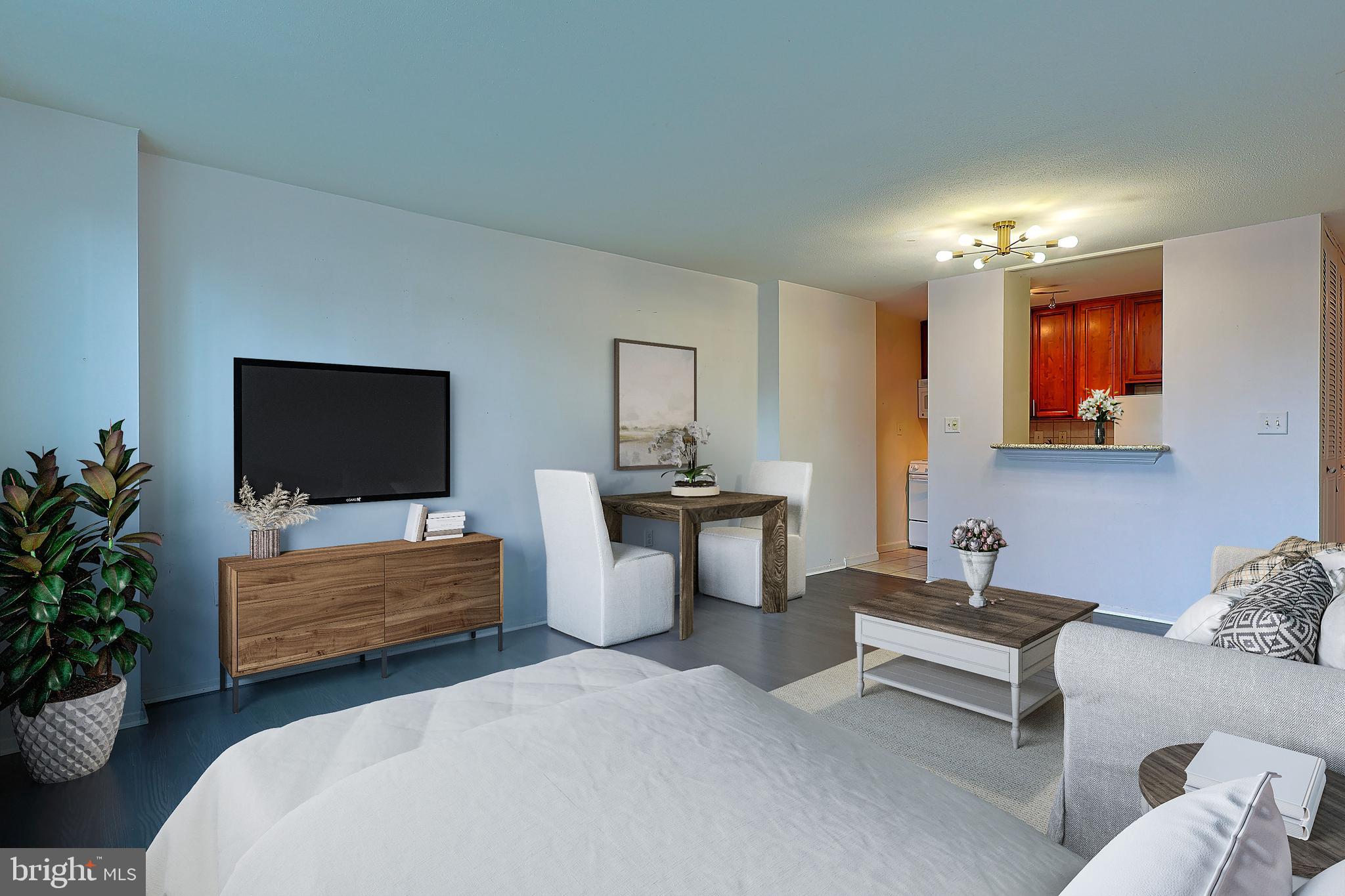 1919 Chestnut St #1313