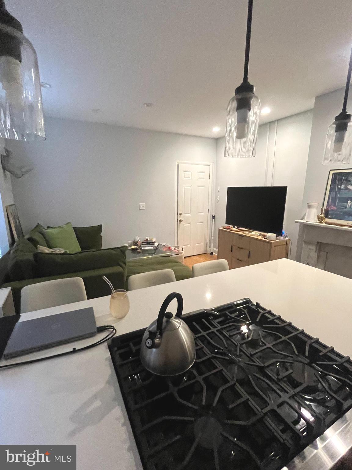 1732 Mount Vernon St