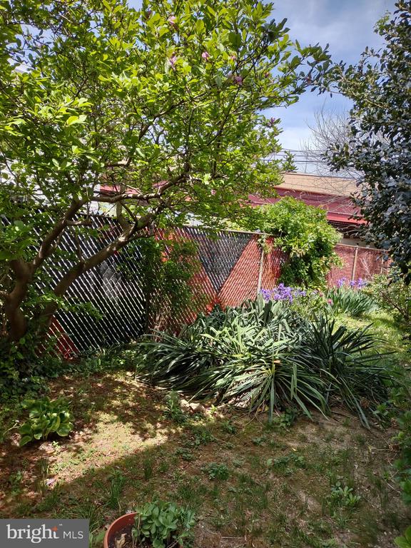 4341 GERMANTOWN AVENUE 43