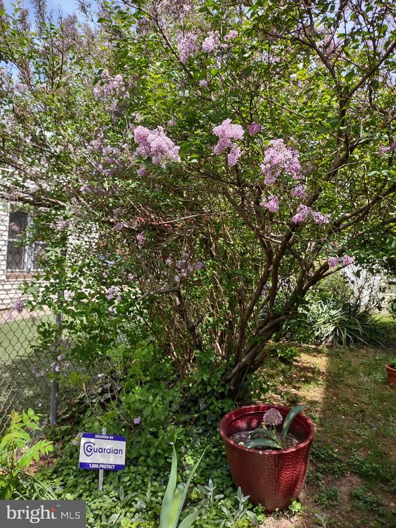 4341 GERMANTOWN AVENUE 43